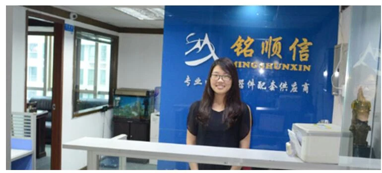 Lịch sử MISUXIN