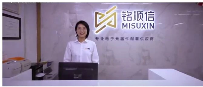 Lịch sử MISUXIN